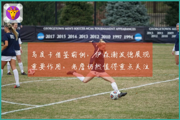 乌度卡借鉴前例，伊森谢泼德展现重要作用，老詹仍然值得重点关注