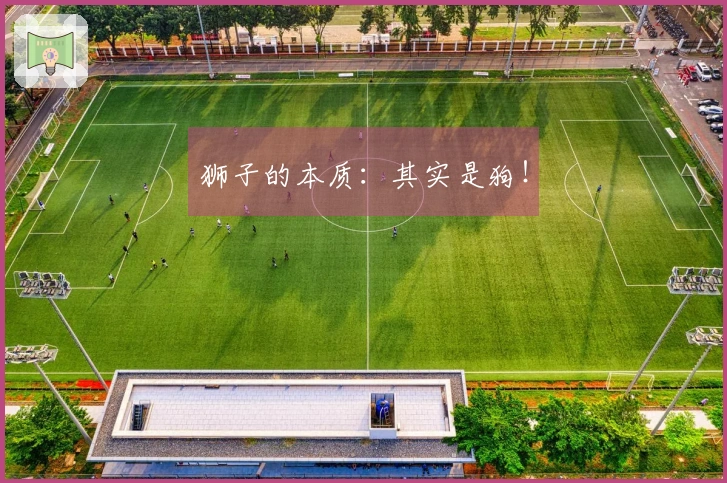 狮子的本质：其实是狗！