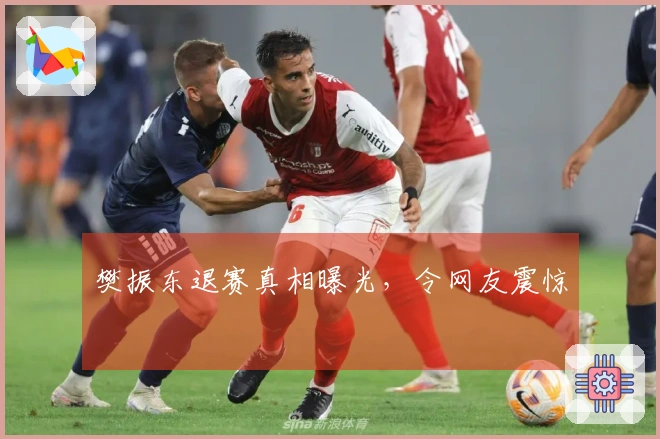 樊振东退赛真相曝光，令网友震惊