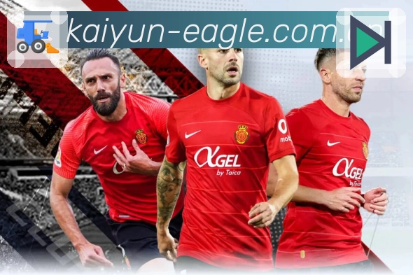 <strong>开云</strong>App 首页示例